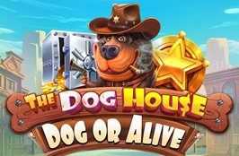 The Dog House – Dog or Alive