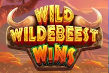 Wild Wildebeest Wins